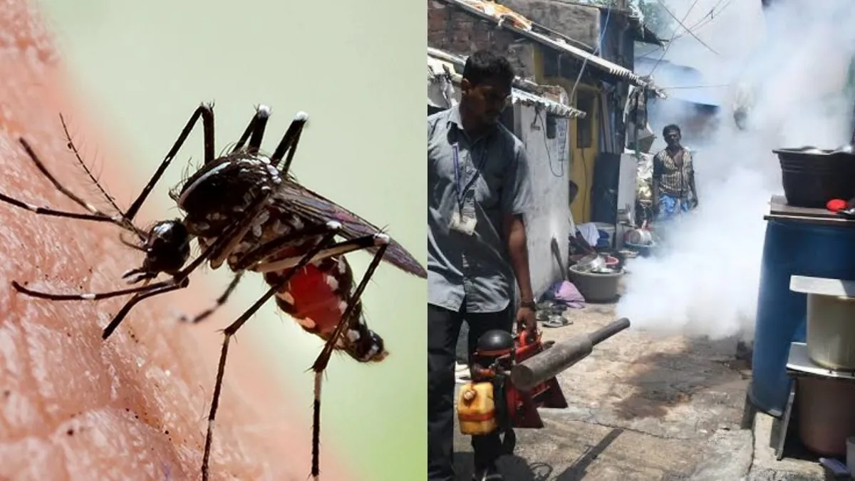 தினமும் 200 பாதிப்பு.. தமிழகத்தில் டெங்கு முழுமையாக கட்டுக்குள் உள்ளது - சுகாதாரத் துறை இயக்குனர்