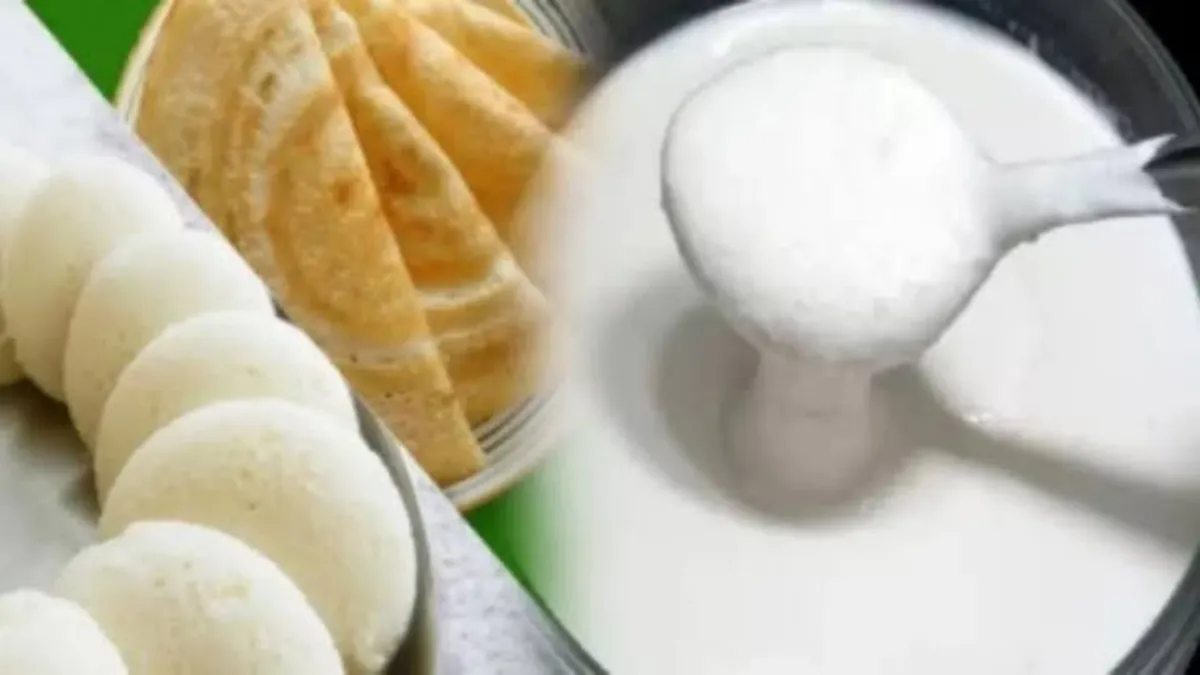 பாக்கெட் தோசை மாவு வாங்கறீங்களா? ஒரு வாரம் வரை இட்லி மாவு கெடாமல் இருக்க இதுவா காரணமா? உஷார் மக்களே