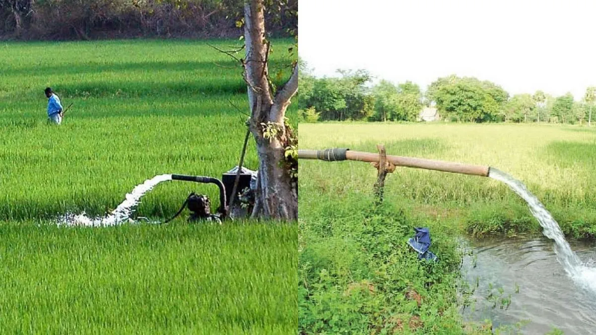 தட்கல் மின் இணைப்பு.. விவசாயிகளுக்கு தமிழக அரசு தரும் 3.60 லட்சம் மானியம்.. எப்படி பெறுவது?