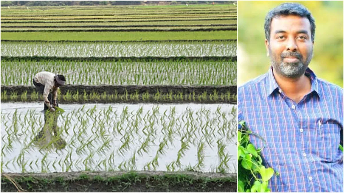 கண்முன்னே அழியும் விவசாயம்! அடுத்த வருஷமும் குறுவை சாகுபடி நடக்காது! வெதர்மேன் சொன்ன உண்மை!