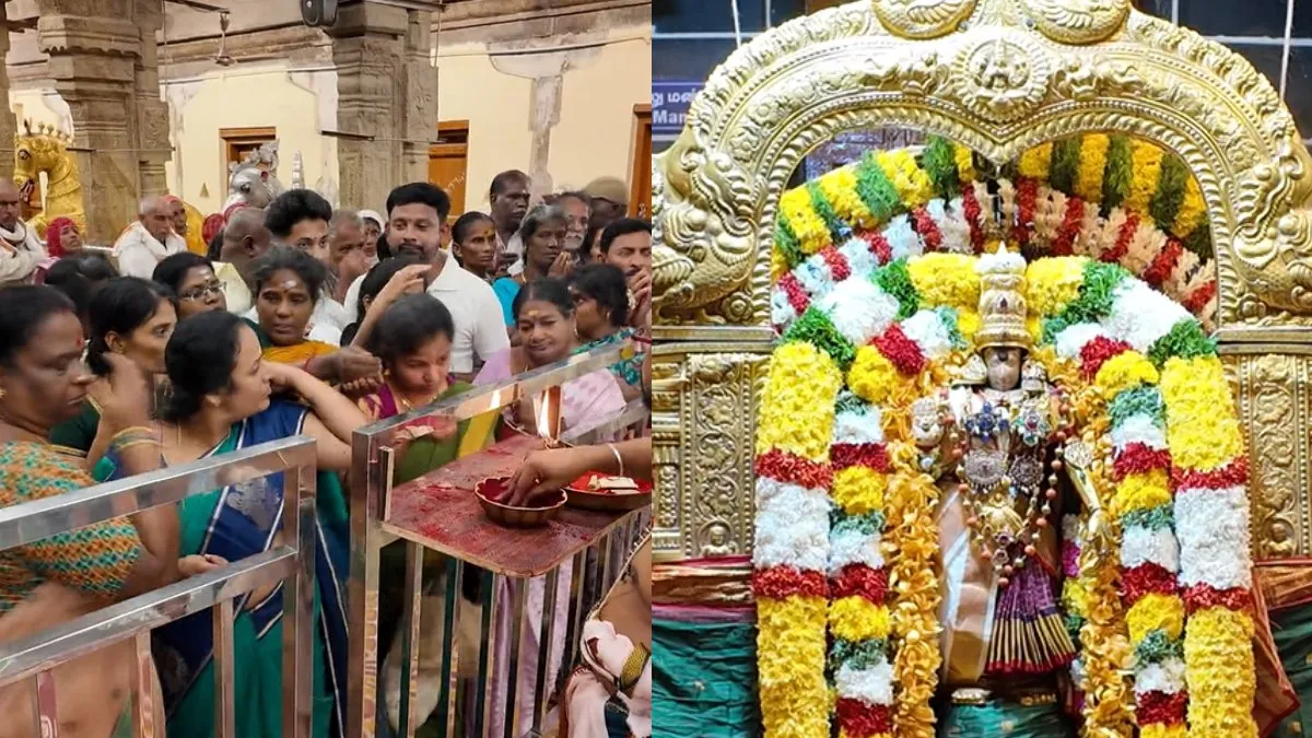 Navratri: நவராத்திரி விழா! அர்த்தநாரீஸ்வரர் கோலத்தில் காட்சியளித்த மதுரை மீனாட்சி!