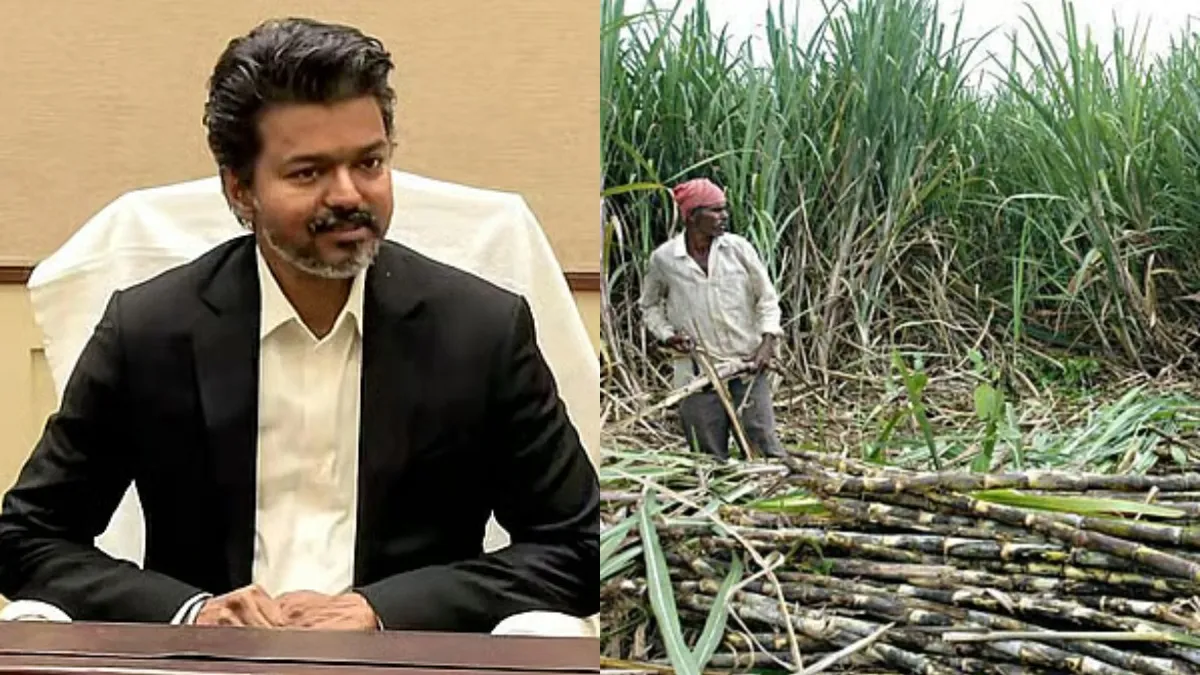 தீபாவளிக்கு வங்கி கணக்கில் பணம்.. கரும்பு விவசாயிகளுக்கு ‘ஸ்வீட் நியூஸ்’! ரூ.603 கோடி வழங்க அரசாணை!