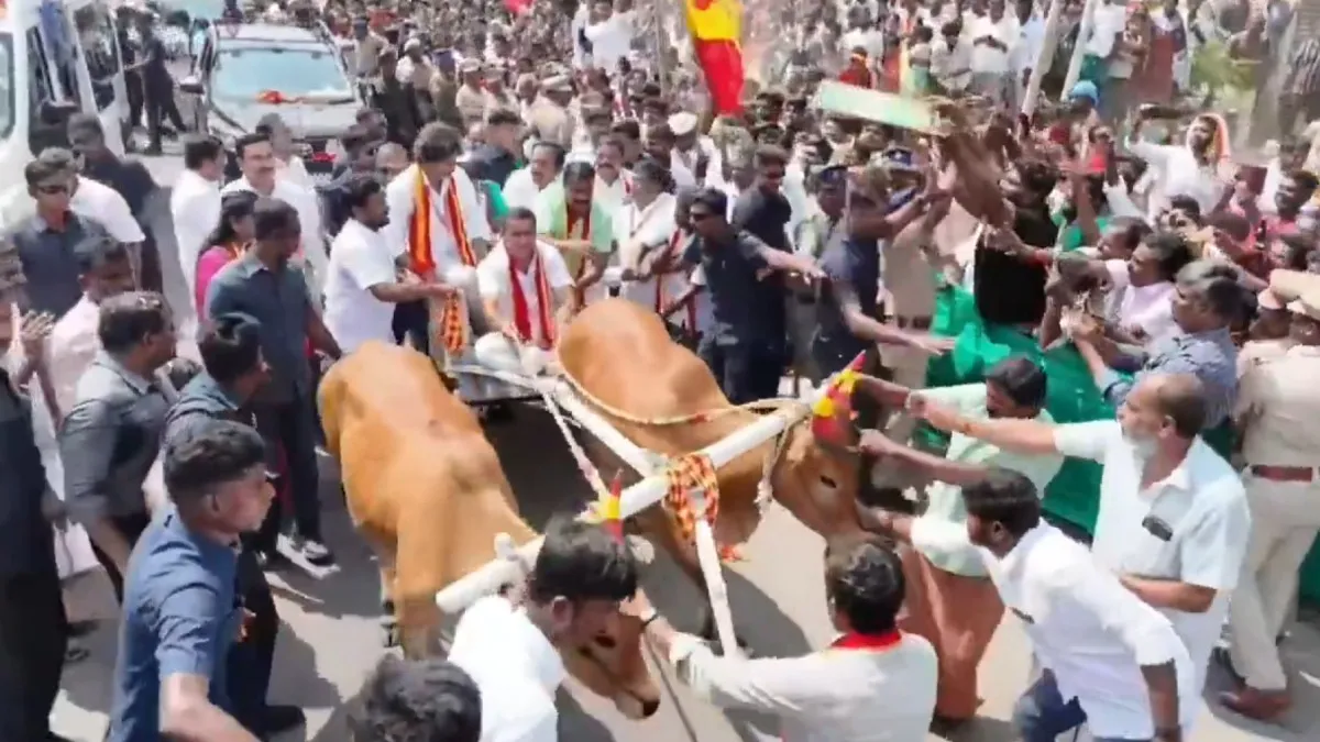 இப்படி இறங்கிட்டாரே! தாராபுரத்தில் மாட்டு வண்டி ஓட்டிய முதல்வர் விஜய்.. இடைத்தேர்தல் தோல்வி பயமா?