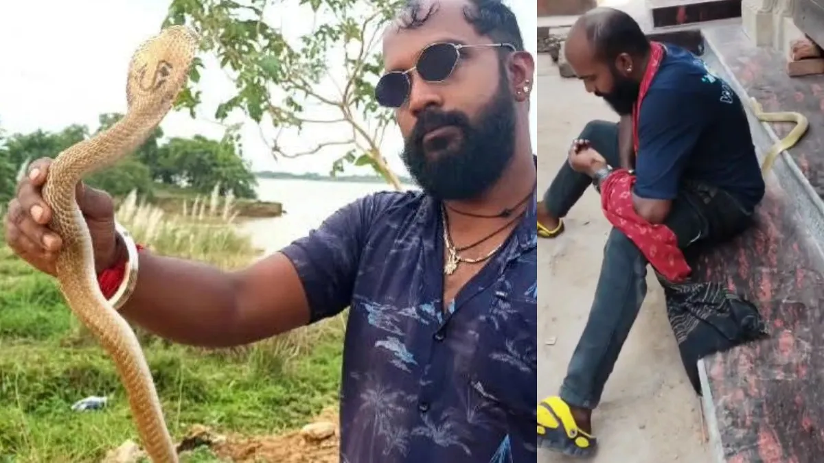 நாகப்பாம்பு கடித்து.. 2வது ஊசி போடும்போது அவர் பாட்டுக்கு கிளம்பிட்டாரு.. 100 பாம்பை பிடிச்சவராம்
