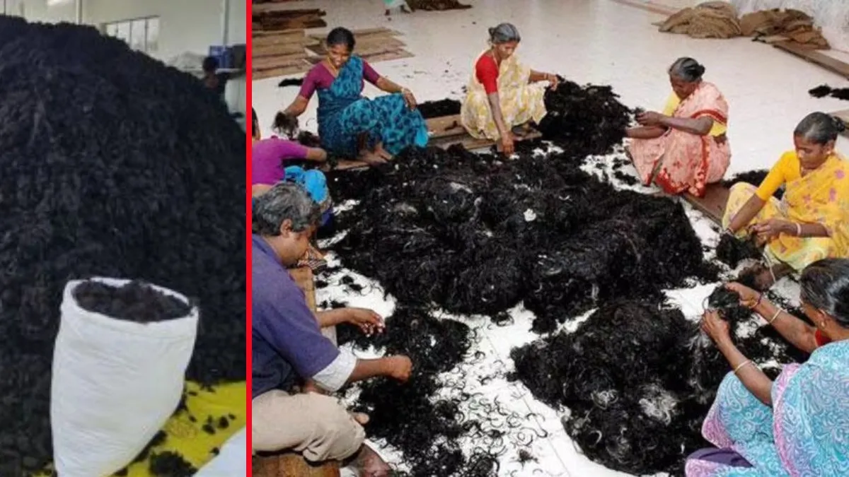 తలవెంట్రుకులు కిలో ధరెంత తెలుసా..?