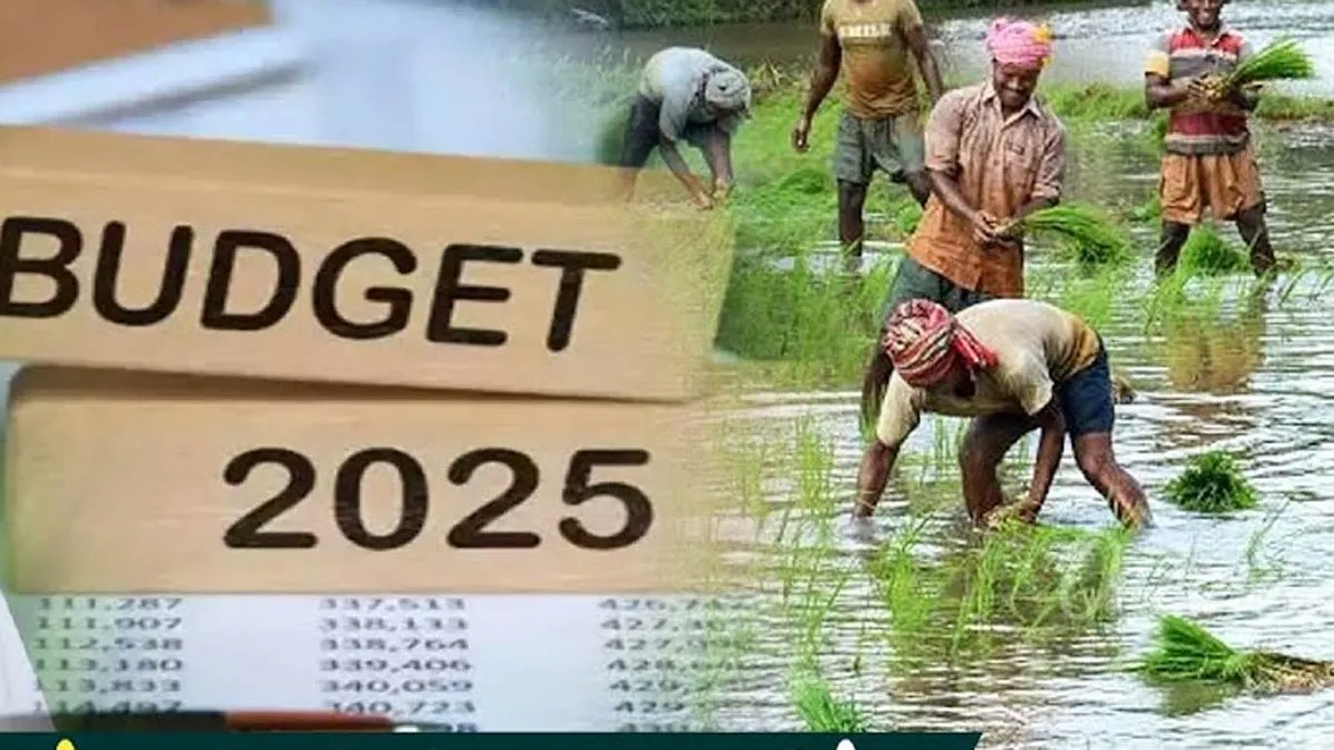 Union Budget 2025: రైతులకు ఏం కావాలి..?