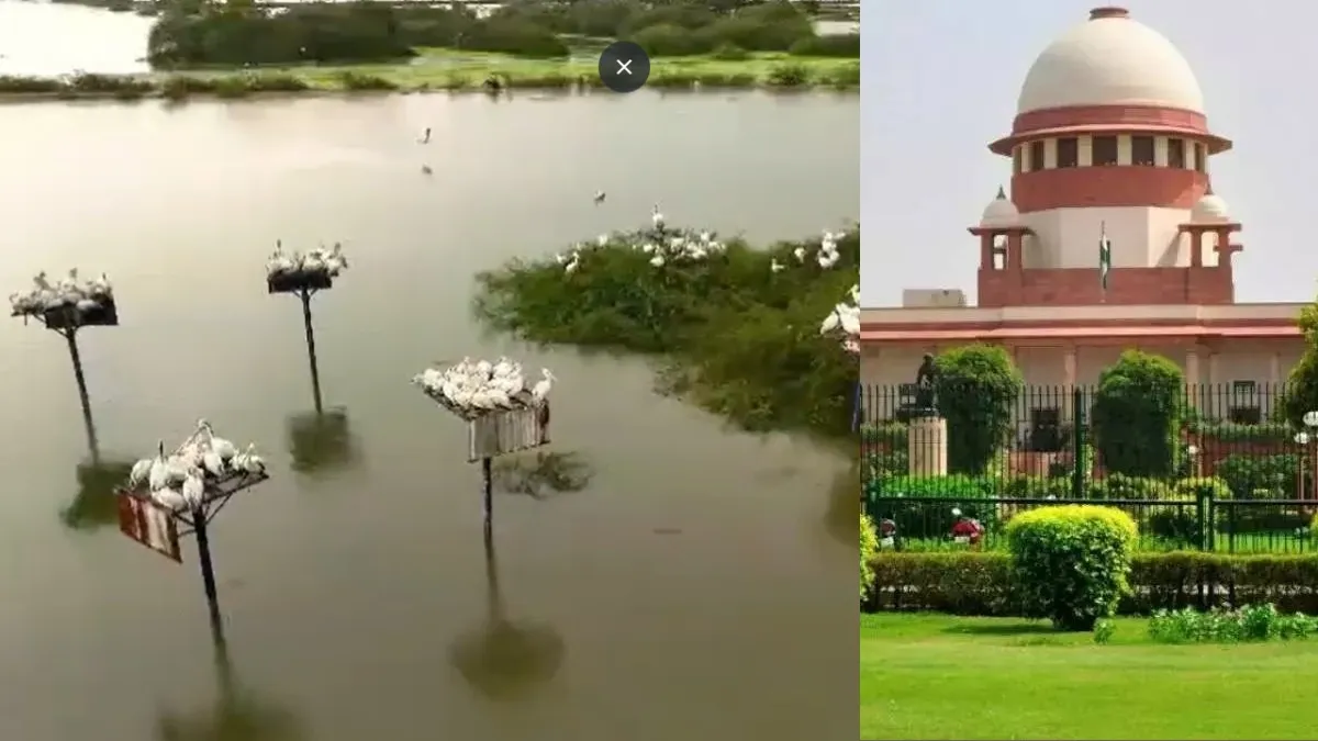 మళ్లీ కొల్లేరు ఆపరేషన్ ? సుప్రీంకోర్టులో సర్కార్ హింట్..!