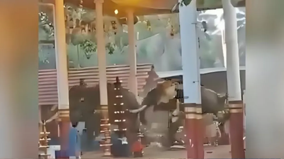 ఆలయ ఉత్సవాల్లో ఏనుగుల భీభత్సం.. ముగ్గురు మృతి, 50 మందికి గాయాలు