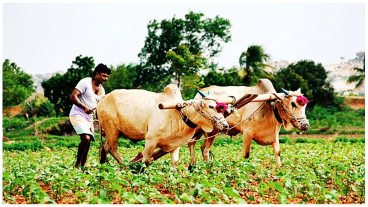 లక్షల మంది రైతులకు గుడ్‌న్యూస్: రైతు భరోసా నిధులు జమ