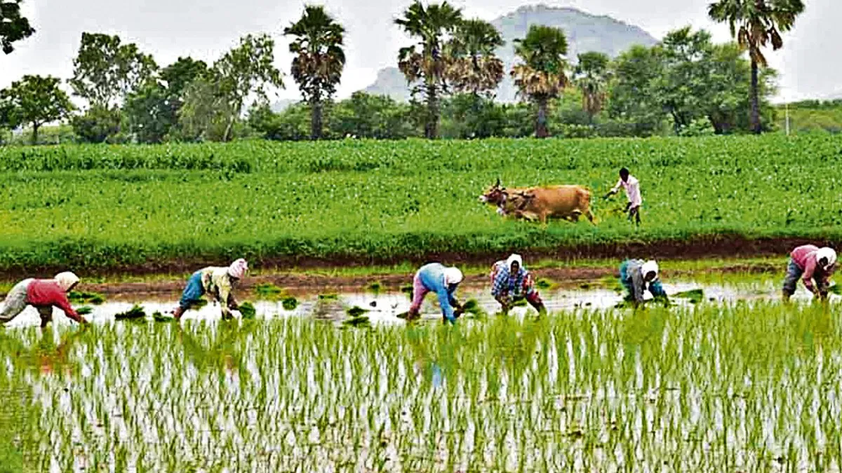 రైతన్నలకు శుభవార్త చెప్పిన కేంద్రం.. సంతోషించిన తెలుగురాష్ట్రాలు!
