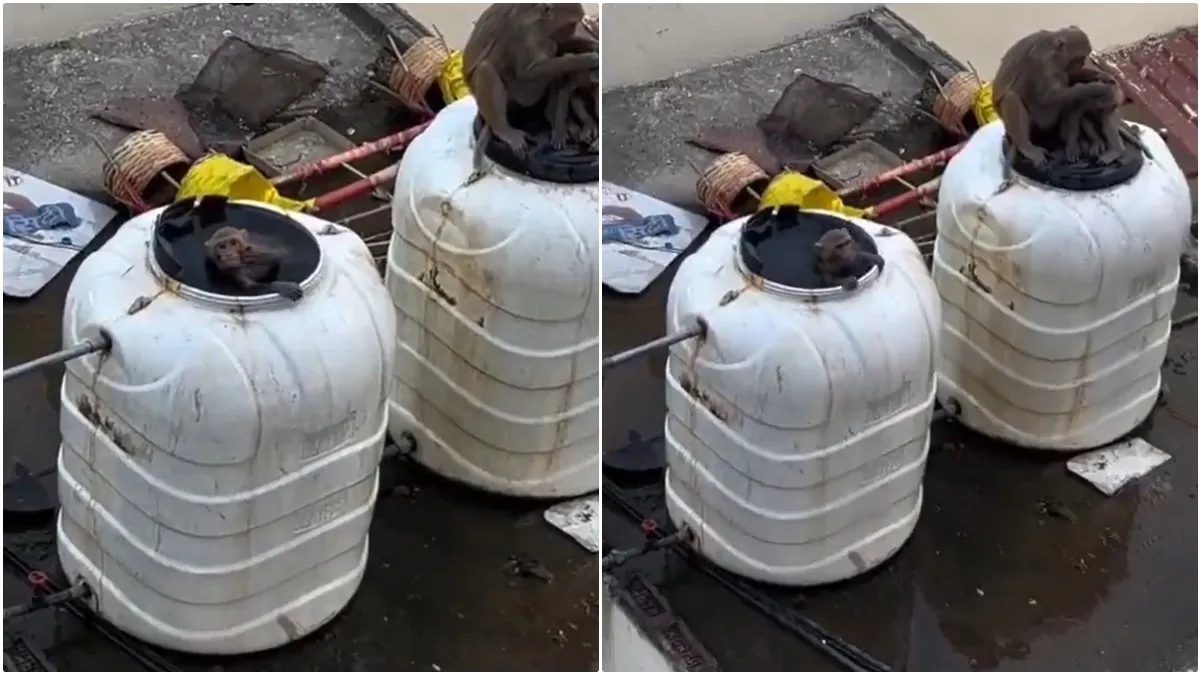 రైల్వే స్టేషన్ వాటర్ ట్యాంక్ లో కోతుల జలకాలాటలు: తాగితే పోతార్రోయ్