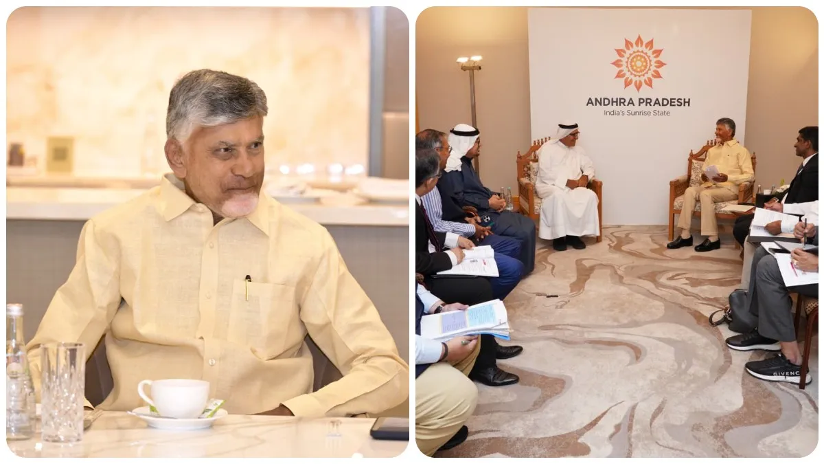 Chandrababu: గల్ఫ్ టూర్ తో చంద్రబాబు సాధించిందేంటి ?