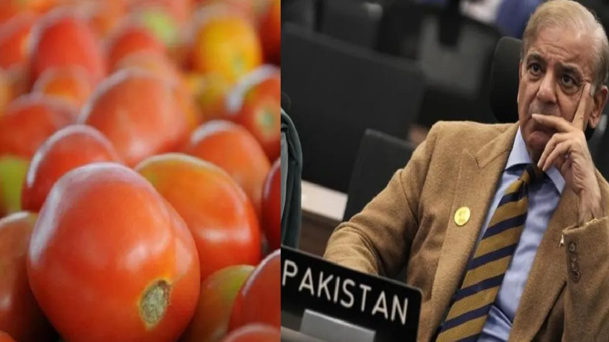 పాకిస్తాన్‌లో చిచ్చు పెట్టిన టమాటో
