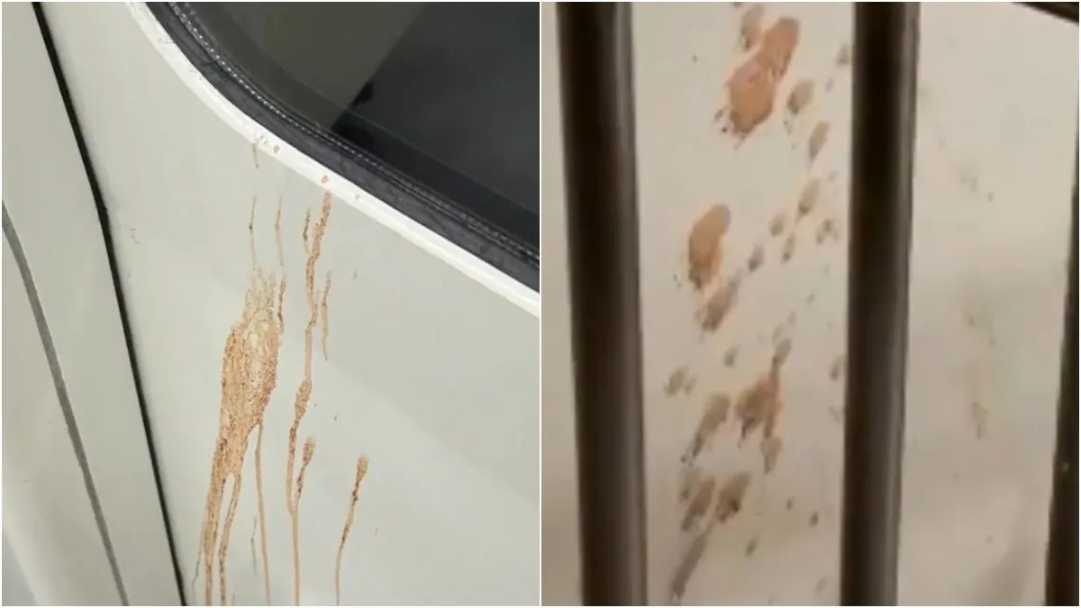 కొత్త మెట్రో రైలులో గుట్కా మరకలు- ఏంట్రా ఈ ఛండాలం