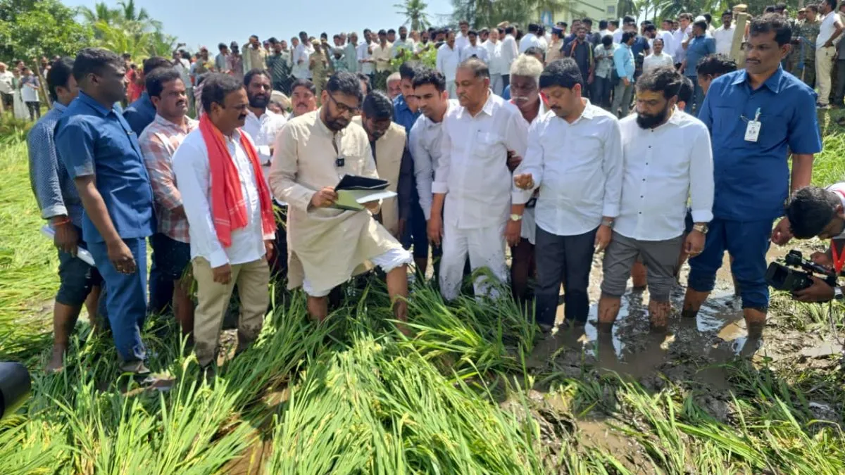 Viral Video: పంట పొలాల్లో పవన్..! బురదలోనే అడుగులేస్తూ..!