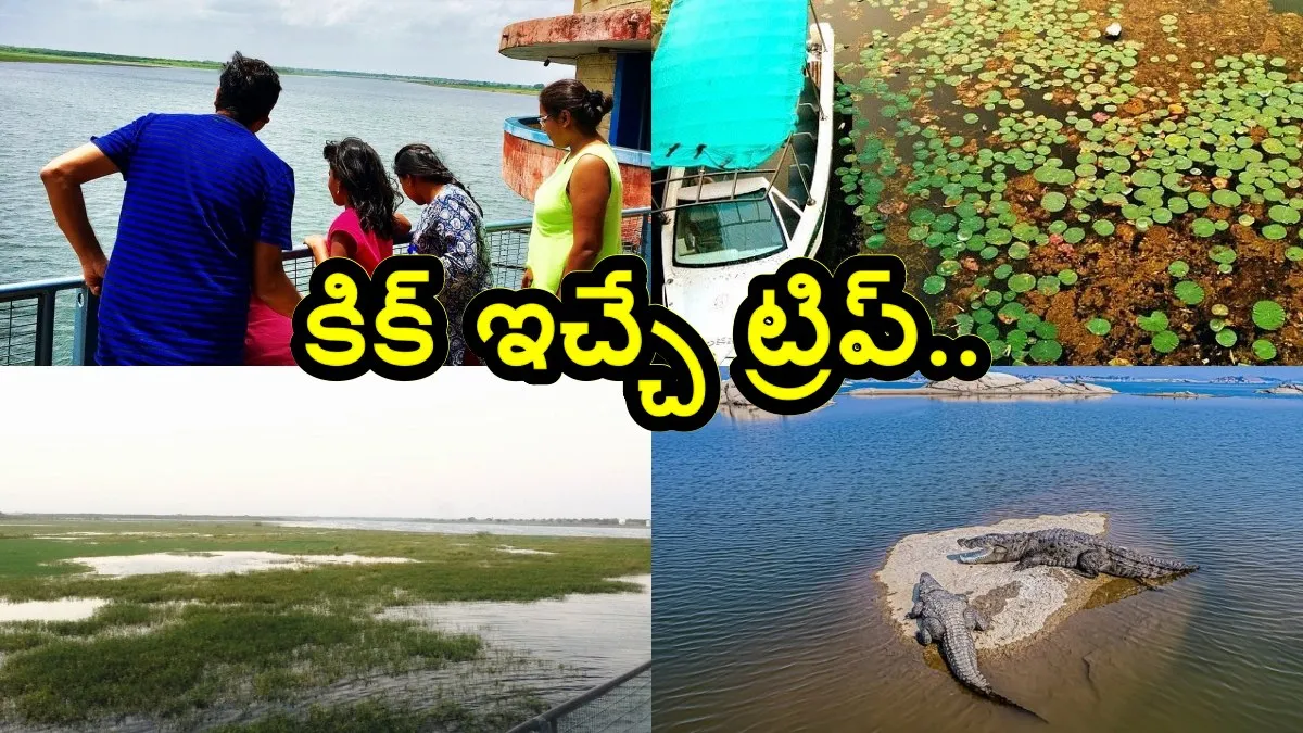 9 ద్వీపాల గుండా.. మొసళ్ల మధ్య ప్రయాణం.. హైదరాబాద్ నుంచి 60 కి. మీ. దూరంలోనే