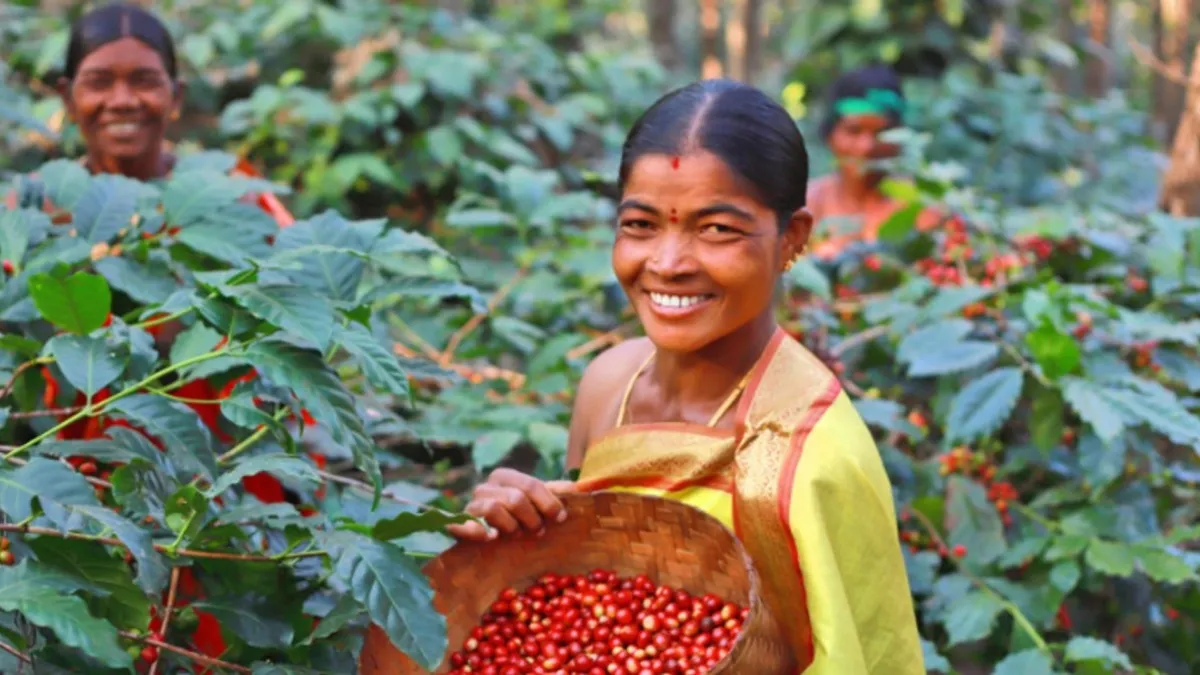 ఏపీలో ఆ రైతులకు శుభవార్త, ధరలపెంపు, ఖాతాల్లో డబ్బులు!