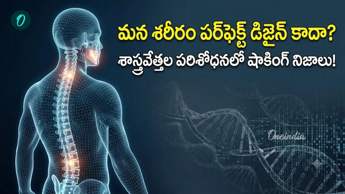 Human Body: మనిషి శరీరంలో  లోపాలు.. ప్రకృతి చేసిన సర్దుబాటు!