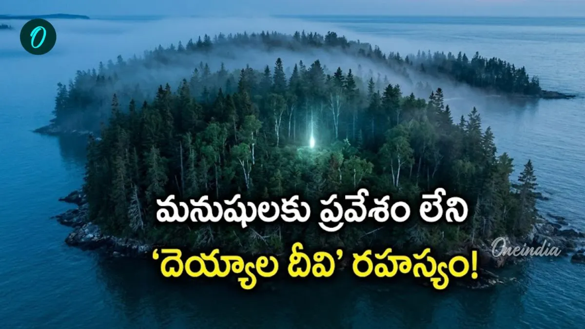1964లో మొదలైన మిస్టరీ.. 'వాల్ స్ట్రీట్ మంత్రగత్తె' తీరంలో దాగిన సీక్రెట్!