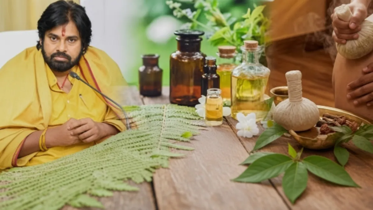 పవన్ కళ్యాణ్ నుంచి హాలీవుడ్ వరకు.. ఆయుర్వేదంపై సెలబ్రిటీల ఆసక్తి!