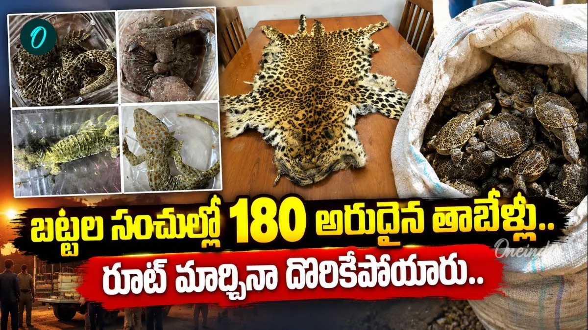 పులి ఎముకలు, చిరుత చర్మాలు.. అరుదైన జీవుల స్మగ్లింగ్ ముఠా గుట్టురట్టు