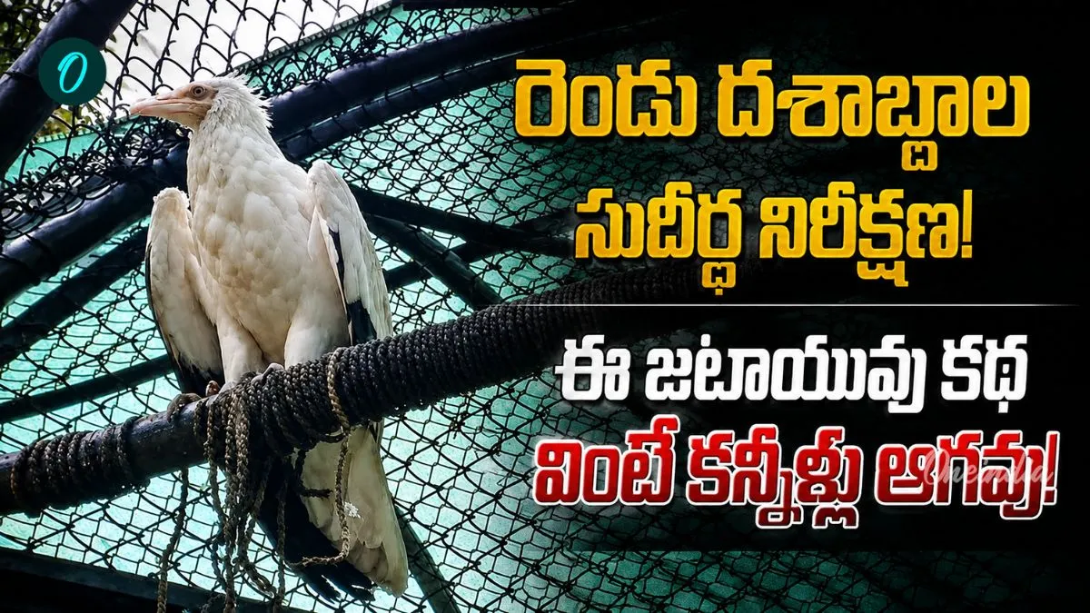 రెండు దశాబ్దాలుగా తోడు లేకుండానే.. 'జటాయువు' జీవితంలో ఊహించని మలుపు..