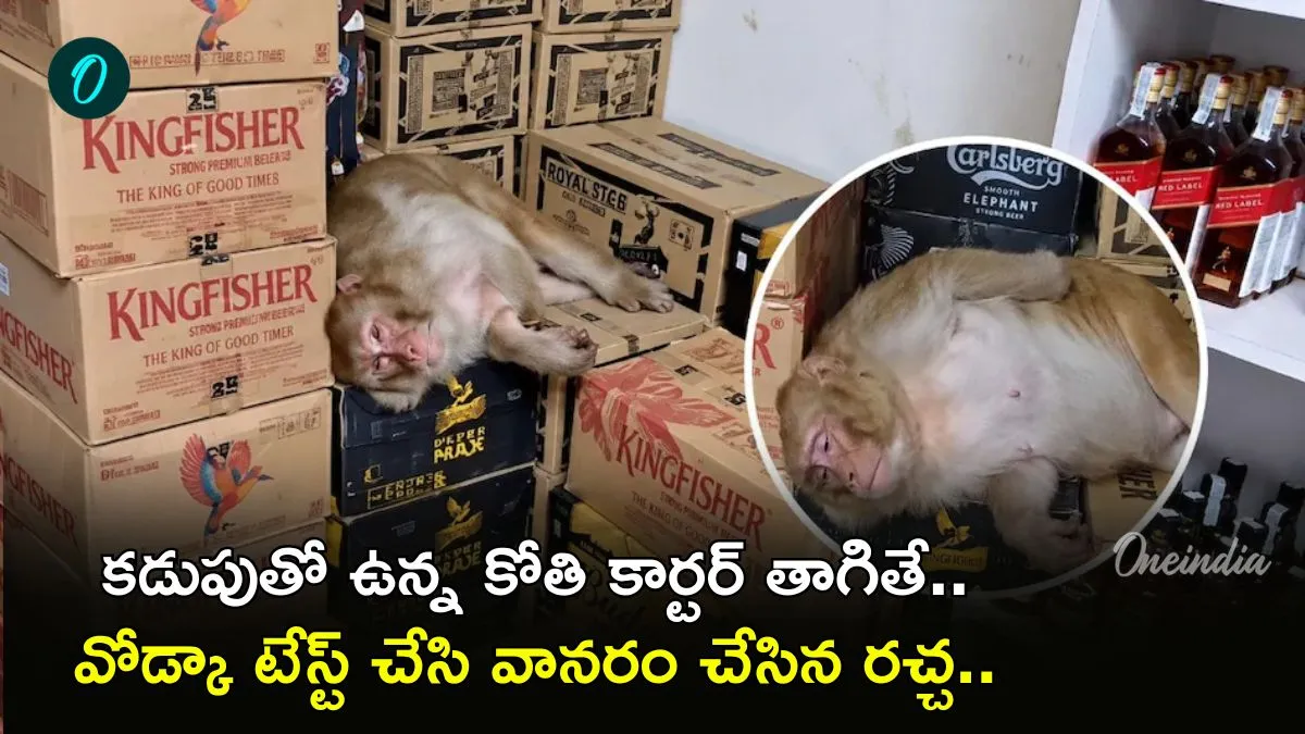 క్వార్టర్ తాగిన కోతి.. వైన్ షాప్ ఓనర్‌కు షాకిచ్చిన వానరం: VIRAL VIDEO