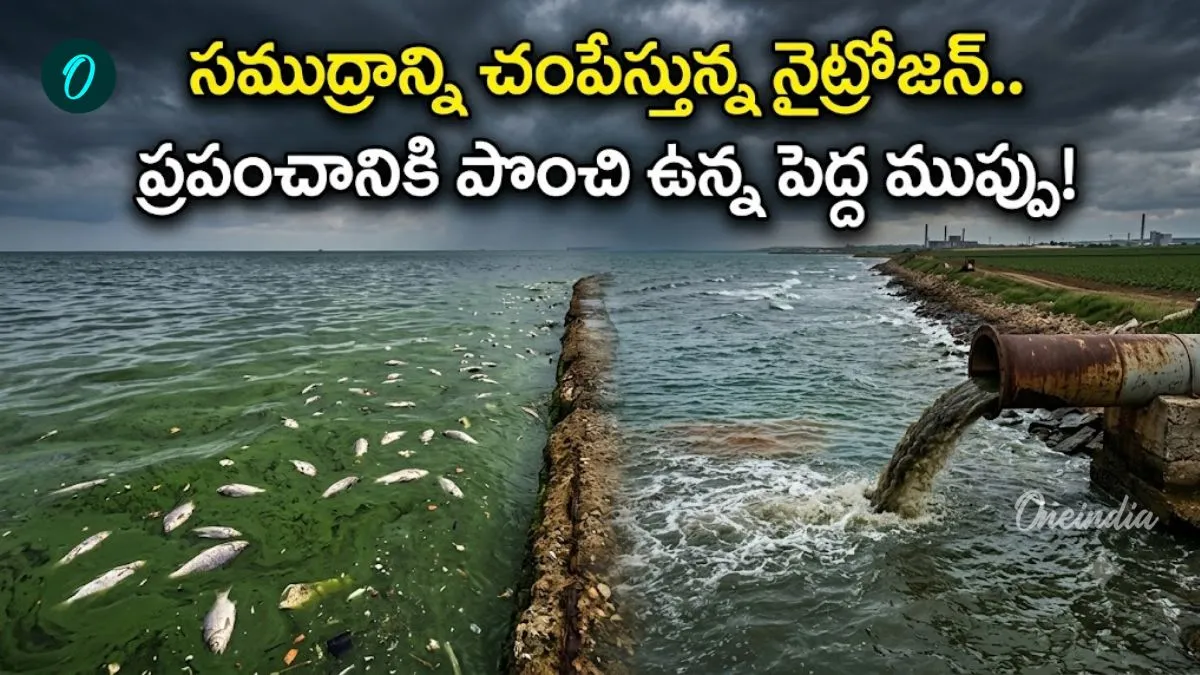 సముద్రాన్ని ముంచెత్తుతున్న ‘నైట్రోజన్’ విషవలయం..