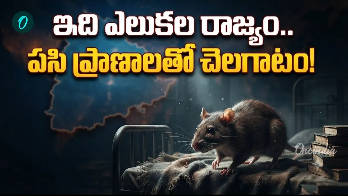 పసి ప్రాణాలను పీక్కుతింటున్న ఎలుకలు! మొద్దునిద్రలో అధికారులు