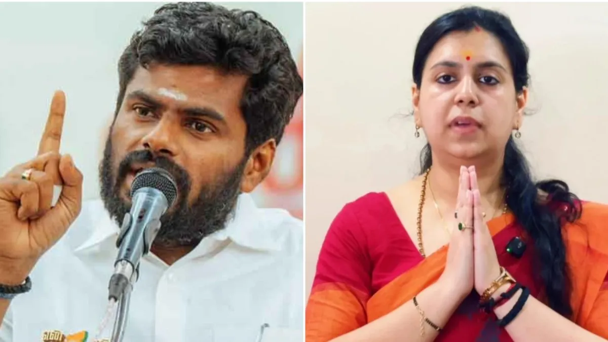 అన్నామలై బాటలో ఐఎఎస్ అధికారిణి: యూపీ రాజకీయాల్లో లేడీ సింగం
