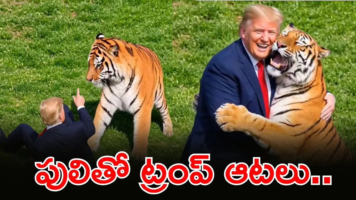 మనిషిని చంపిన పులితో ట్రంప్ సరసాలు..
