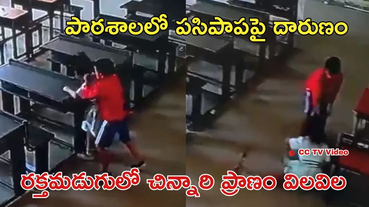 Video: LKG చిన్నారిపై రాక్షసత్వం! రాళ్ళు, పూల కుండీలతో థర్డ్ క్లాస్ స్టూడెంట్ దాడి