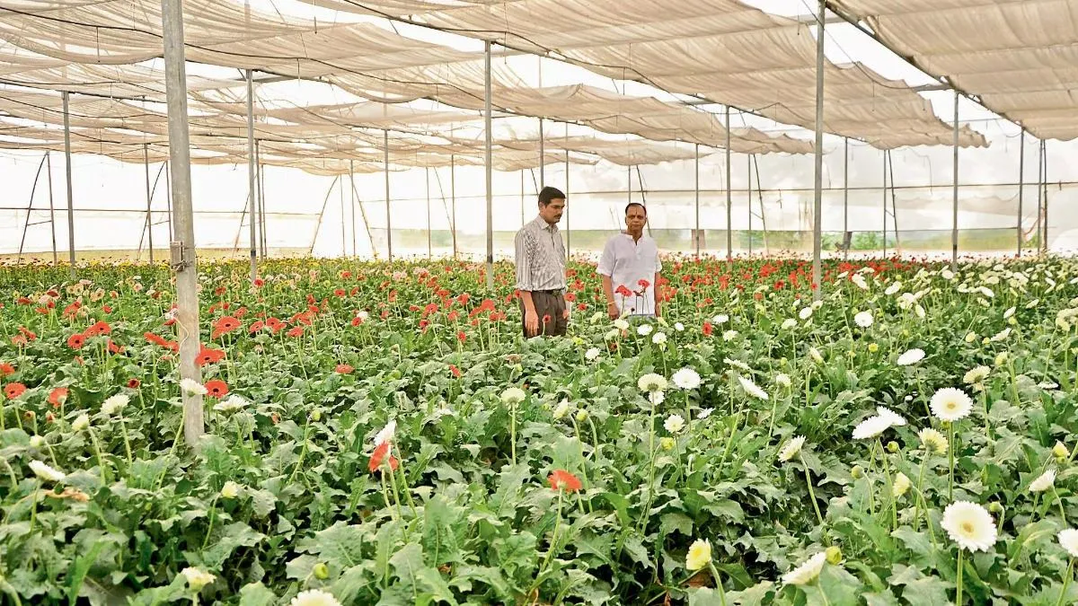 ఏపీకి లక్షకోట్ల వరం.. హార్టీకల్చర్ హబ్ తో రాయలసీమ ఇకపై రతనాల సీమ! – politics ఏపీకి లక్షకోట్ల వరం.. హార్టీకల్చర్ హబ్ తో రాయలసీమ ఇకపై రతనాల సీమ! – politics